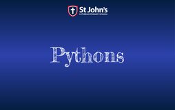 Pythons featured image