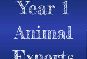Year 1 Animal Experts! featured image